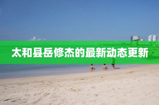 太和县岳修杰的最新动态更新