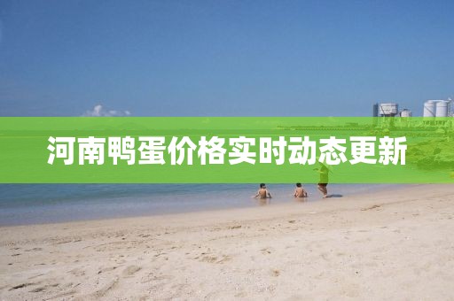 河南鸭蛋价格实时动态更新