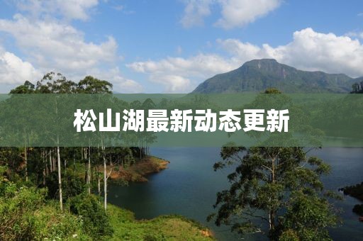 松山湖最新动态更新
