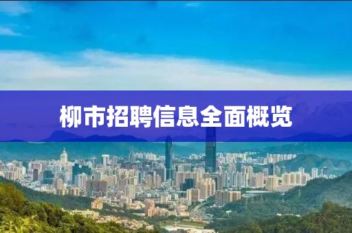 柳市招聘信息全面概览