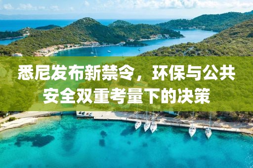悉尼发布新禁令，环保与公共安全双重考量下的决策