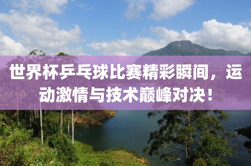 世界杯乒乓球比赛精彩瞬间，运动激情与技术巅峰对决！