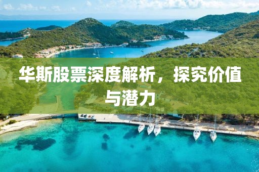 华斯股票深度解析，探究价值与潜力