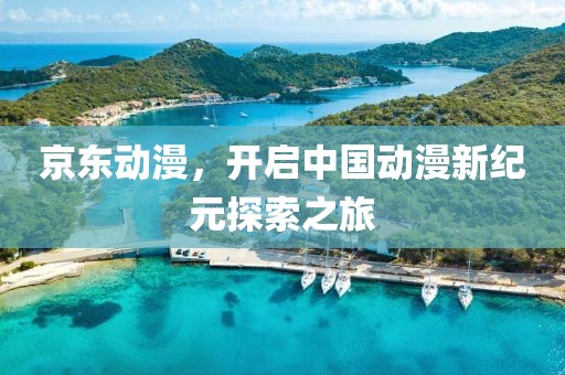 京东动漫，开启中国动漫新纪元探索之旅