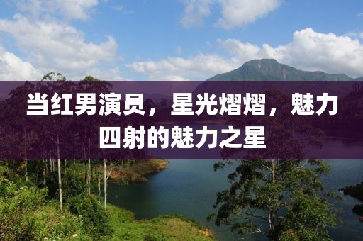 当红男演员，星光熠熠，魅力四射的魅力之星