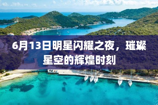 6月13日明星闪耀之夜，璀璨星空的辉煌时刻
