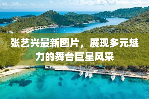 张艺兴最新图片，展现多元魅力的舞台巨星风采