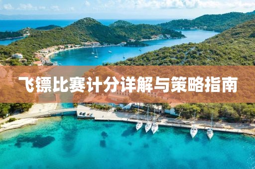 飞镖比赛计分详解与策略指南