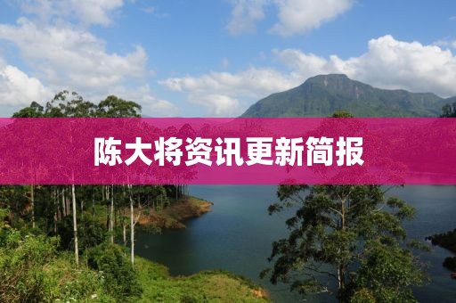 陈大将资讯更新简报