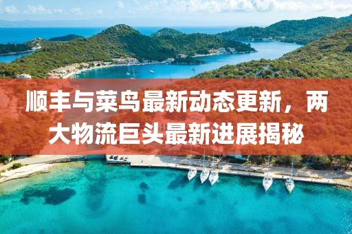 顺丰与菜鸟最新动态更新，两大物流巨头最新进展揭秘