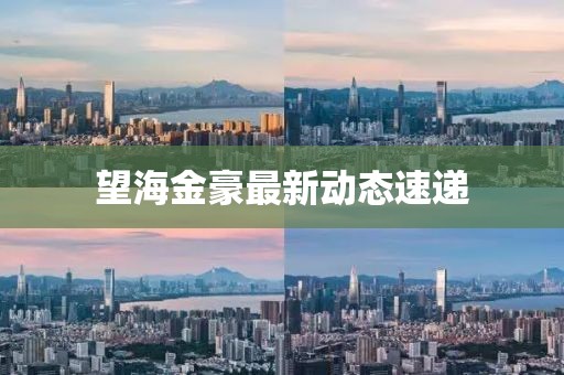 望海金豪最新动态速递