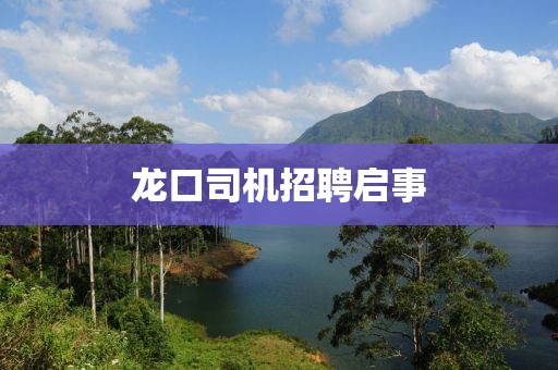 龙口司机招聘启事