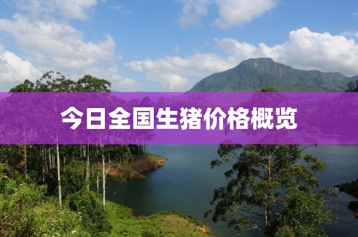 今日全国生猪价格概览