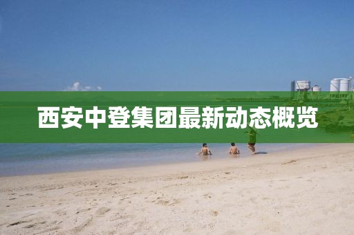 西安中登集团最新动态概览