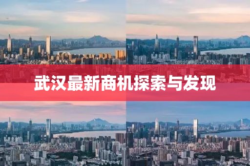 武汉最新商机探索与发现
