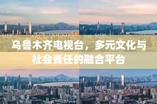 乌鲁木齐电视台，多元文化与社会责任的融合平台
