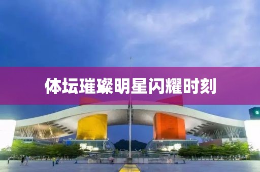 体坛璀璨明星闪耀时刻