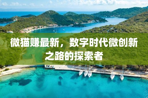 微猫赚最新，数字时代微创新之路的探索者