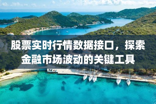 股票实时行情数据接口，探索金融市场波动的关键工具