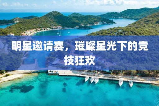明星邀请赛，璀璨星光下的竞技狂欢