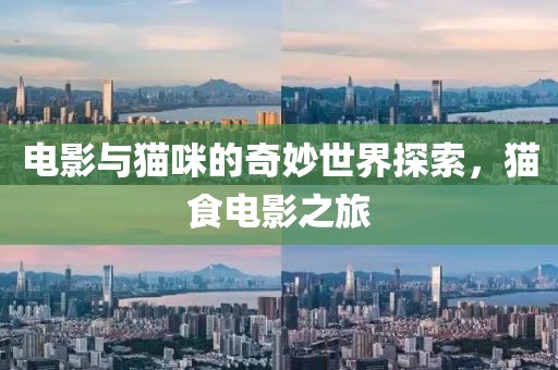 电影与猫咪的奇妙世界探索，猫食电影之旅