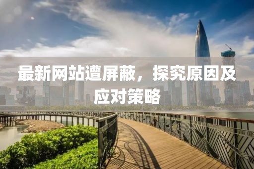 最新网站遭屏蔽，探究原因及应对策略
