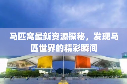 马匹窝最新资源探秘，发现马匹世界的精彩瞬间