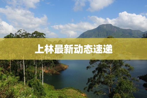 上林最新动态速递