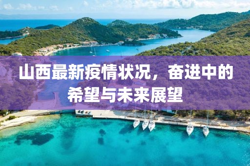 山西最新疫情状况，奋进中的希望与未来展望