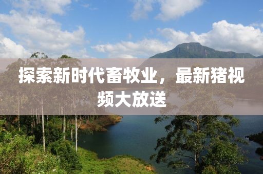 探索新时代畜牧业，最新猪视频大放送