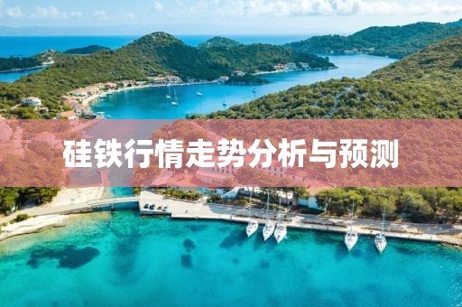 硅铁行情走势分析与预测