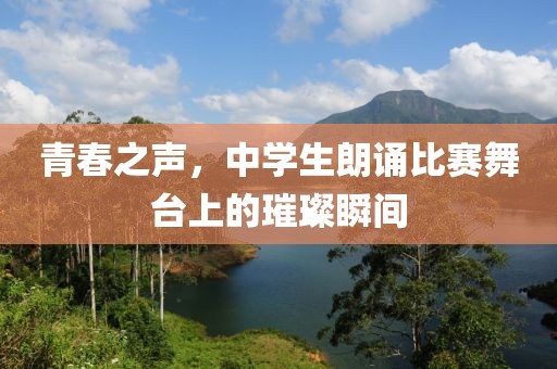 青春之声，中学生朗诵比赛舞台上的璀璨瞬间
