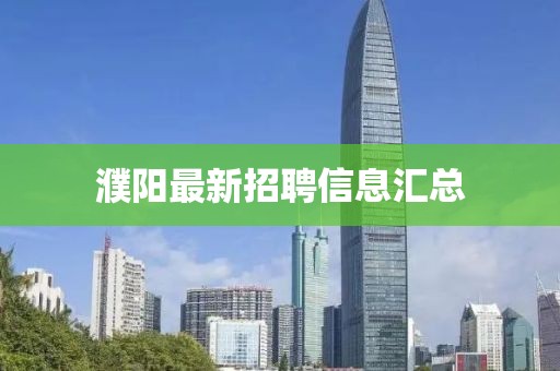 云君豪 第2页