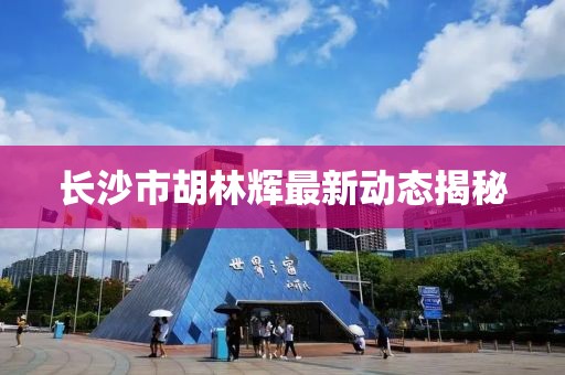 长沙市胡林辉最新动态揭秘