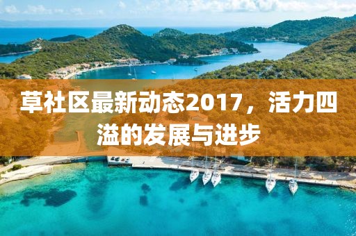 草社区最新动态2017，活力四溢的发展与进步