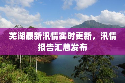 芜湖最新汛情实时更新，汛情报告汇总发布