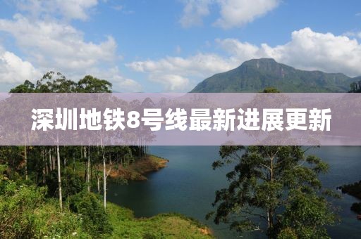 深圳地铁8号线最新进展更新