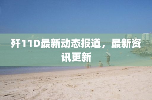 歼11D最新动态报道，最新资讯更新