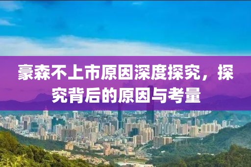 豪森不上市原因深度探究，探究背后的原因与考量