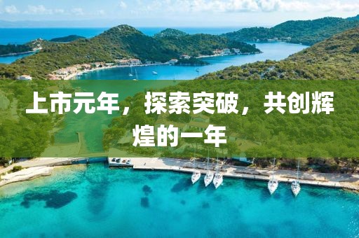 上市元年，探索突破，共创辉煌的一年