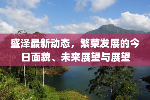 盛泽最新动态，繁荣发展的今日面貌、未来展望与展望