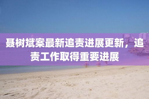 聂树斌案最新追责进展更新，追责工作取得重要进展