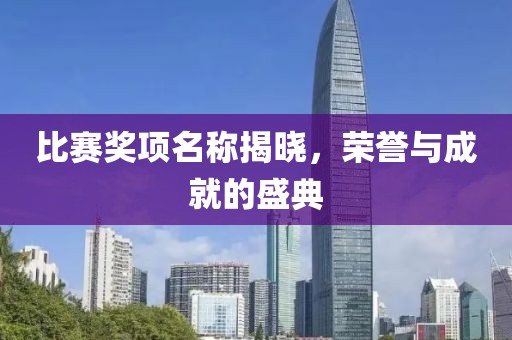 比赛奖项名称揭晓，荣誉与成就的盛典