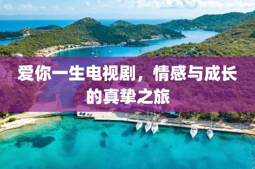 爱你一生电视剧，情感与成长的真挚之旅