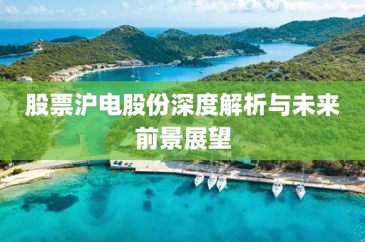 股票沪电股份深度解析与未来前景展望