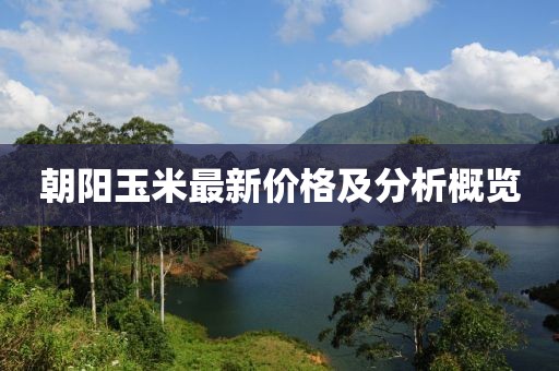 朝阳玉米最新价格及分析概览
