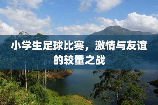 小学生足球比赛，激情与友谊的较量之战