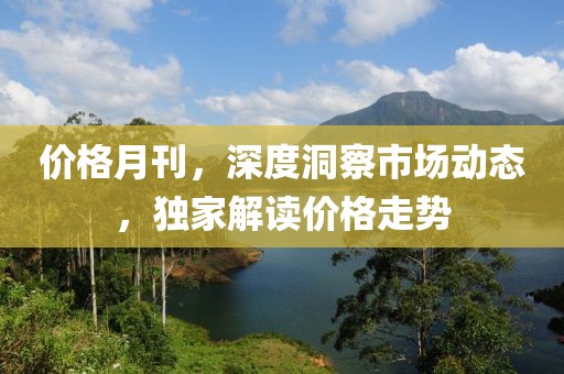 价格月刊，深度洞察市场动态，独家解读价格走势