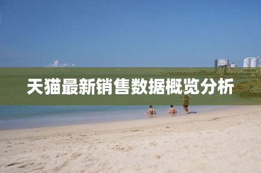 天猫最新销售数据概览分析