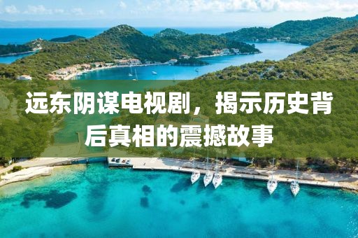 远东阴谋电视剧，揭示历史背后真相的震撼故事